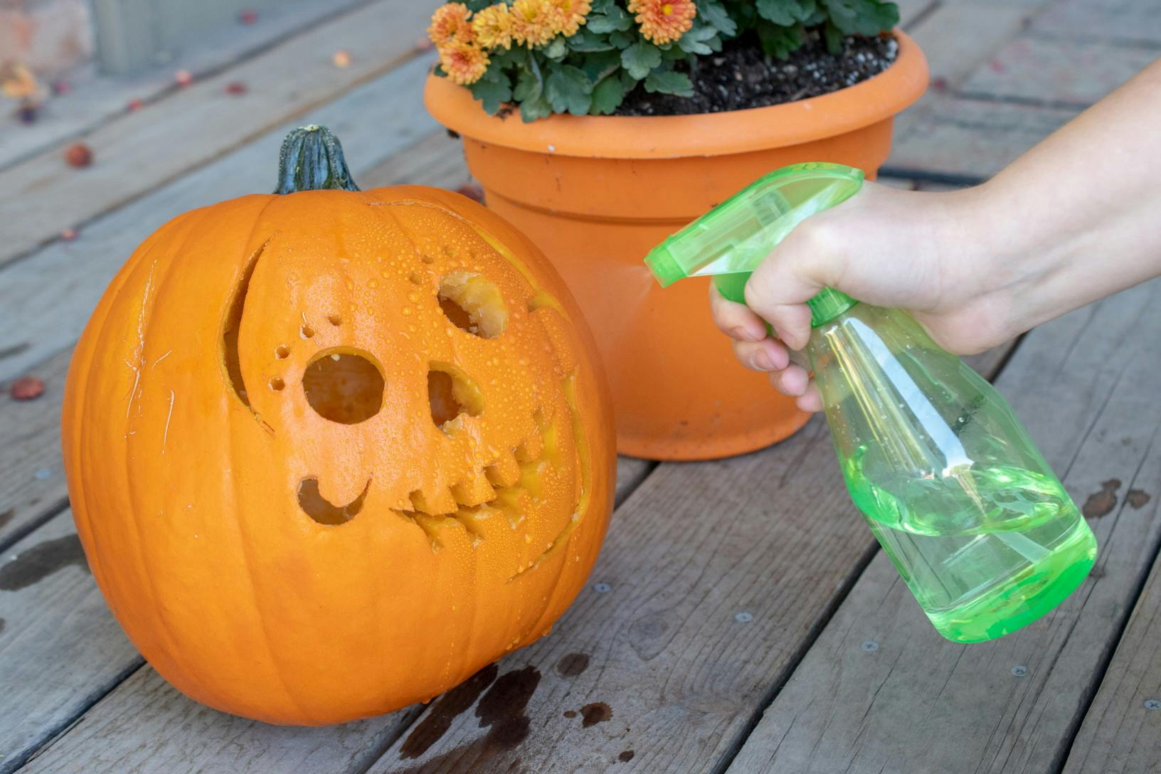 8 Ways To Make Your Carved Halloween Pumpkin Last All Month The Krazy Coupon Lady