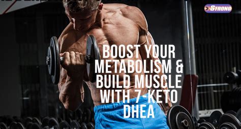 Boost Your Metabolism Build Muscle With 7 Keto Dhea Strong