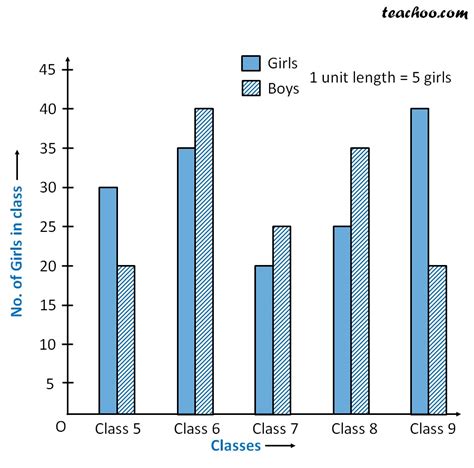 Create Your Own Double Bar Graph