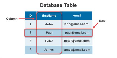 Database Types Explained 11 Database Types Explained 2023