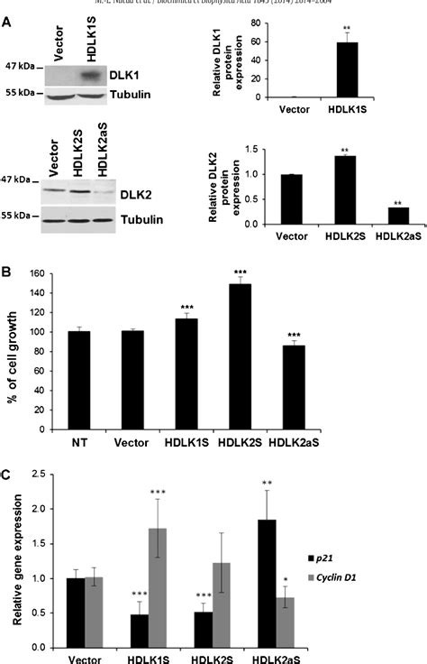 Different Expression Levels Of Dlk1 Inversely Modulate The Oncogenic Potential Of Human Mda Mb