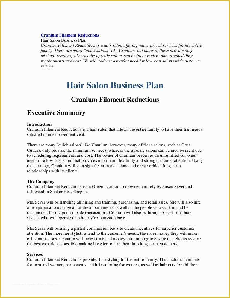 Excel Template Hair Beauty Salon Business Plan 5 Year Financial