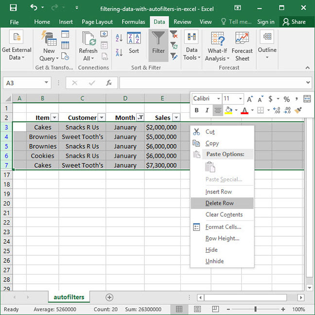 Filtering Data With Autofilters In Excel Deskbright