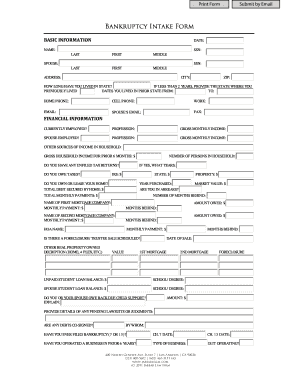 Free 10 Bankruptcy Intake Form Samples In Pdf Ms Word