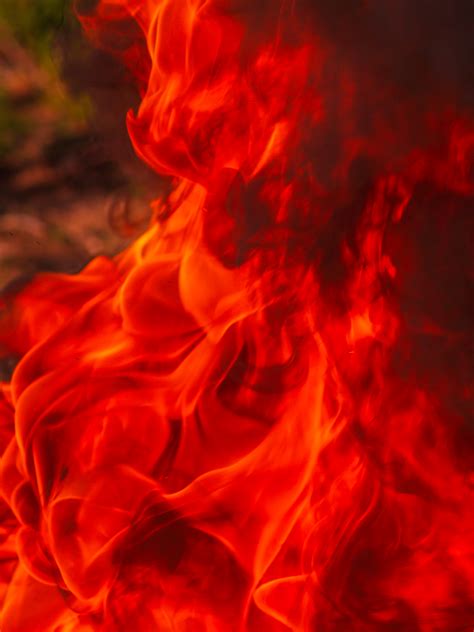 Free Images Fire Flame Heat Burn Hot Bonfire Warm Fiery Background Inferno Danger