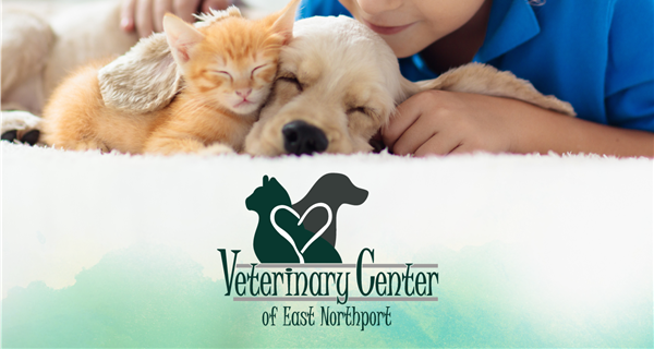 Full Service Pet Care In 11731 Veterinary Center Of East Northport