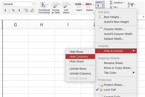 Hide And Unhide Columns Rows And Cells In Excel