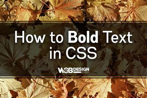 How To Bold Text In Css Web Design Blog