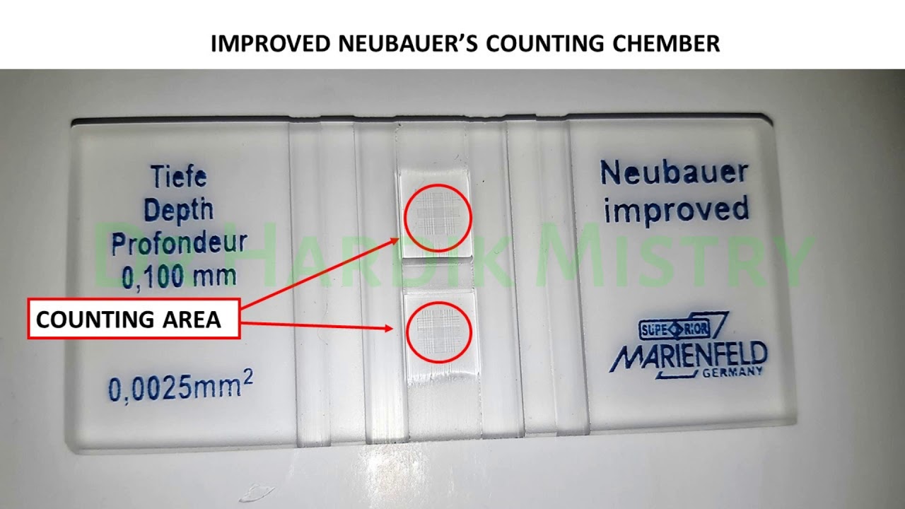 How To Count Cells With The Neubauer Counting Chamber Youtube