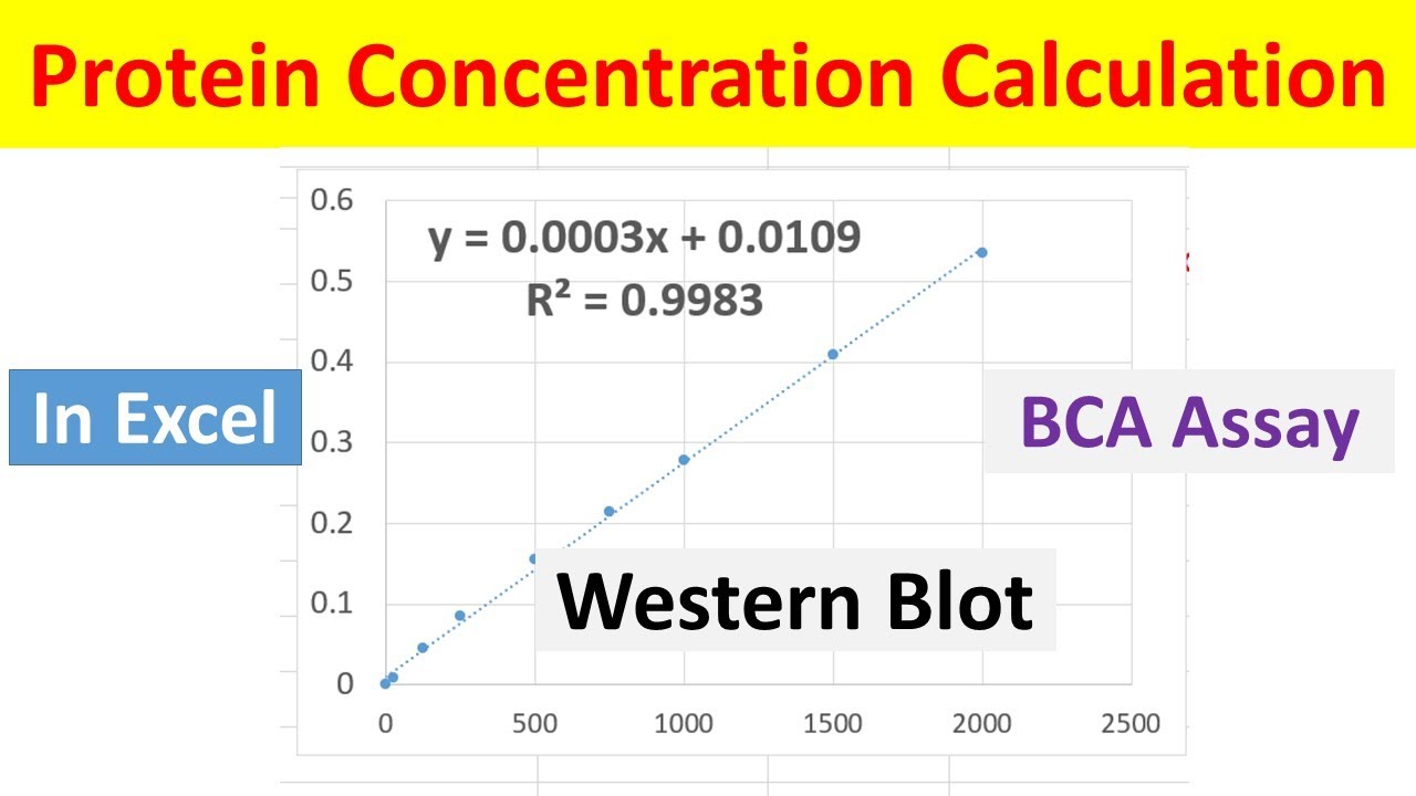 How To Create A Linear Standard Curve In Excel Youtube