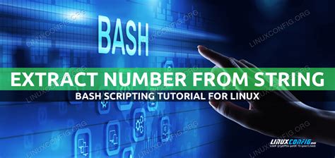 How To Extract A Number From A String Using Bash Example Linuxconfig