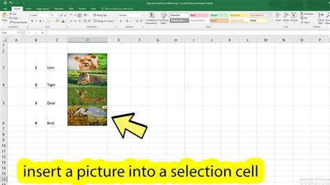 How To Insert Image In Excel Cell Youtube