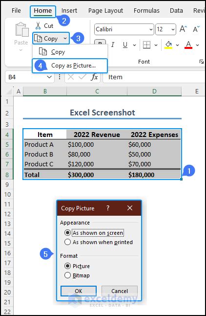 How To Use The Excel Screenshot Option Take Edit And Copy Exceldemy