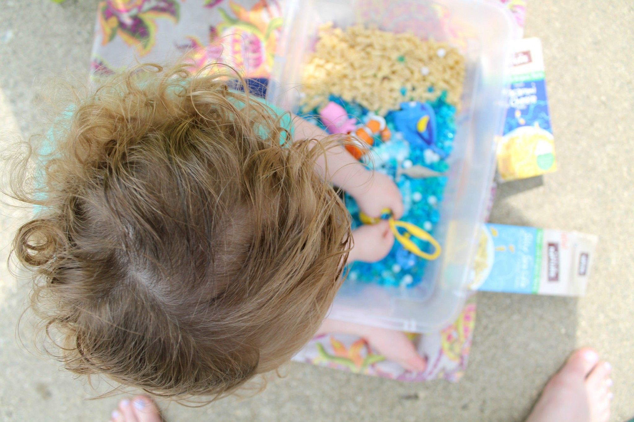 Ocean Sensory Bin Tutorial Sensory Activity