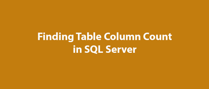 Phone Formatting Function In Sql Server Mssql Query