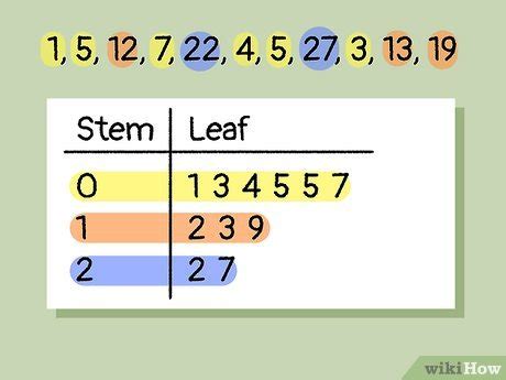 Stem And Leaf Plot