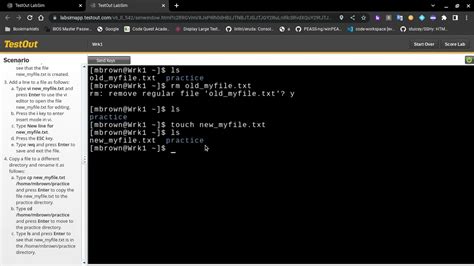 Testout Labsim Using Linux Shell Commands Youtube