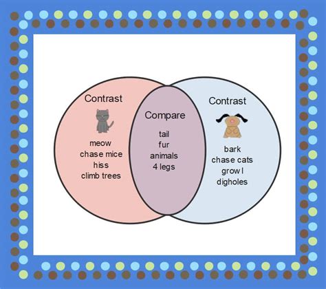 Two Items To Compare And Contrast Compare And Contrast Graphic