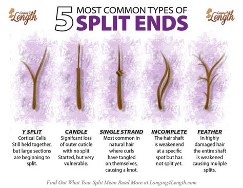 Types Of Split Ends And What They Mean About Your Hair Split Ends Hair Hair Breakage Natural